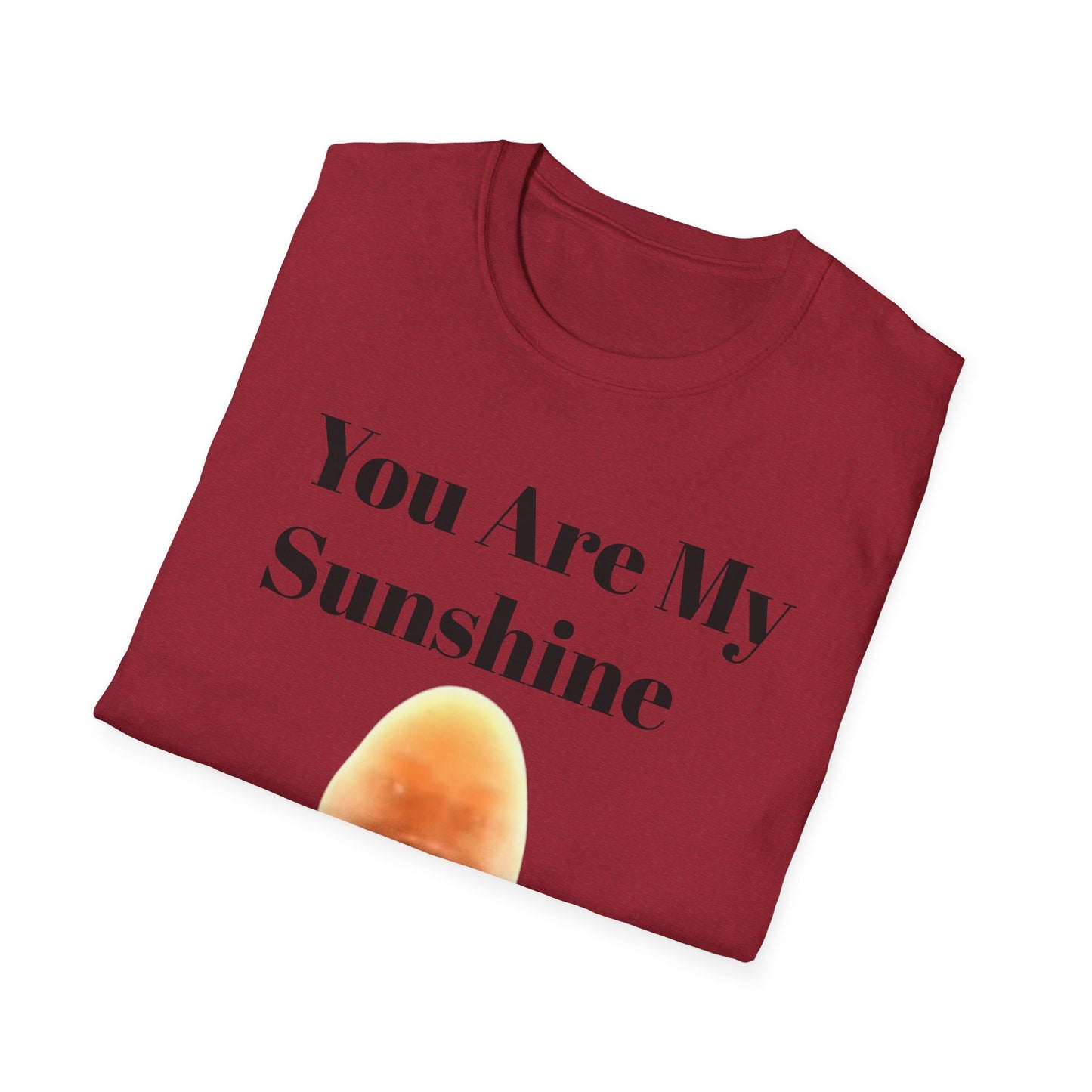 You Are My Sunshine Lebron Tee