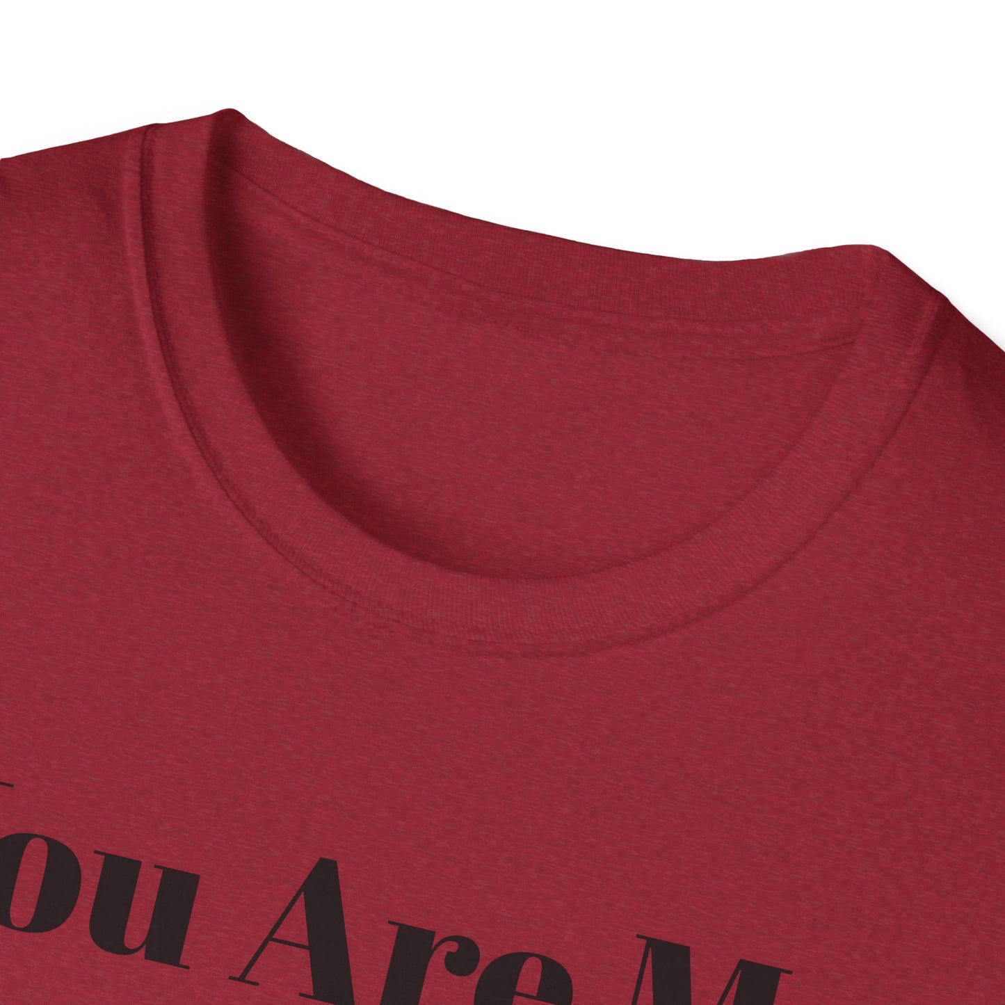 You Are My Sunshine Lebron Tee