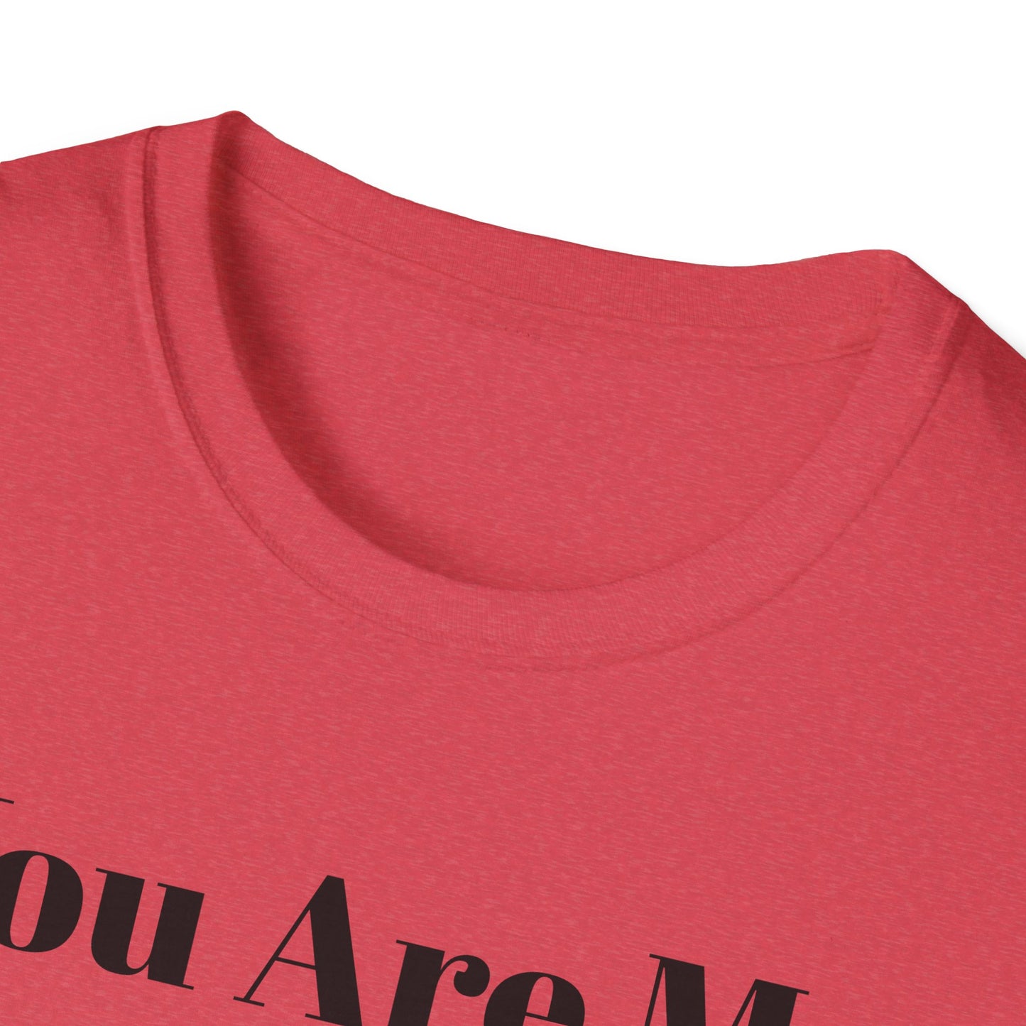 You Are My Sunshine Lebron Tee