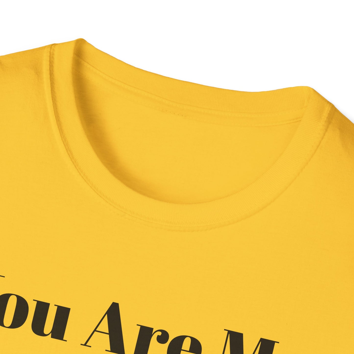 You Are My Sunshine Lebron Tee