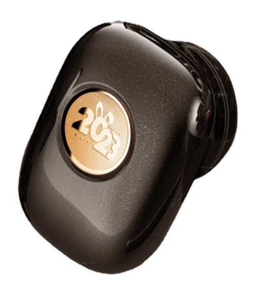 Portable Electric Razor